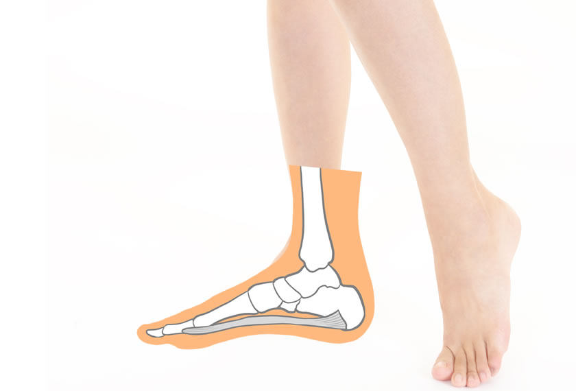 Foot with orange outline and white bone diagram showing the ankle and foot bones outside a real foot surface.
